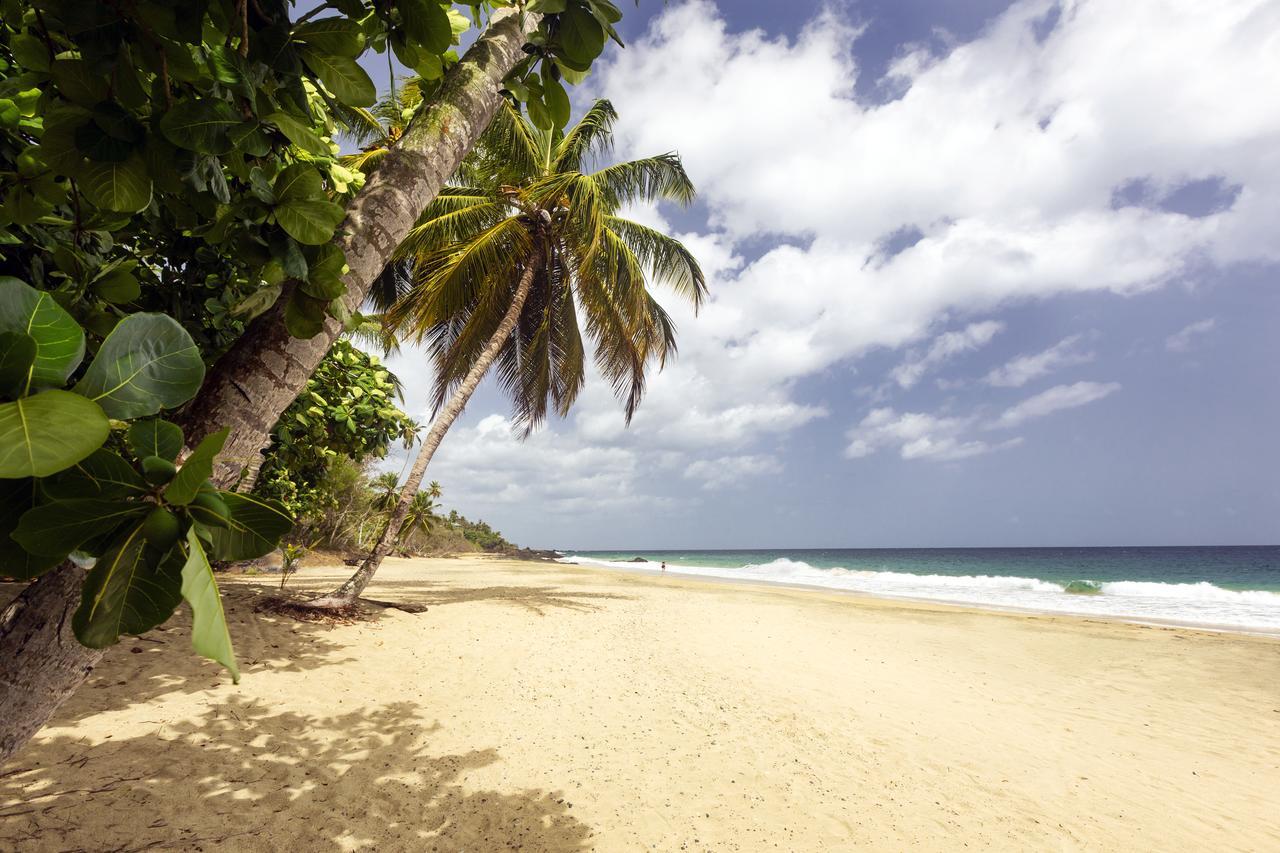 Grafton Beach Resort Black Rock Екстер'єр фото